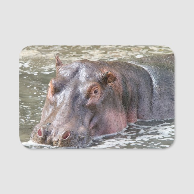 Happy Hippo Namensschild (Vorderseite)