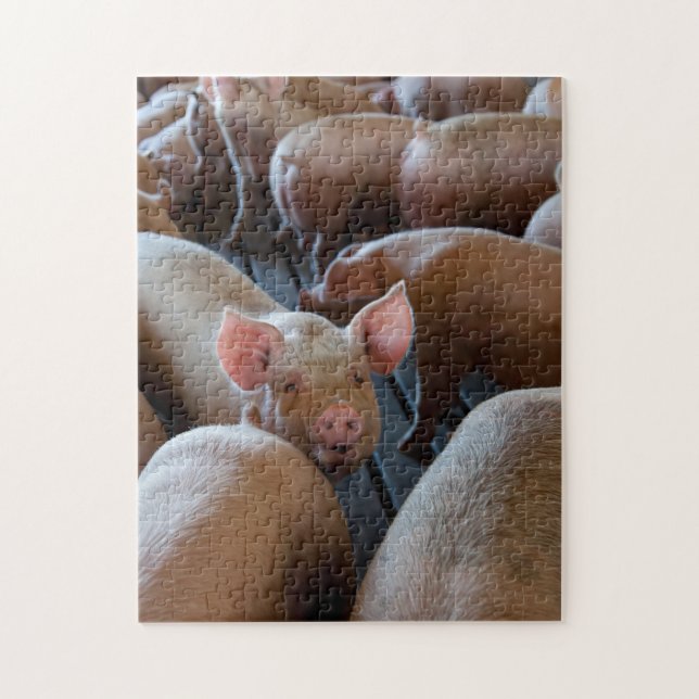 Happy Hogs auf einer Schweinefarm Puzzle (Vertikal)