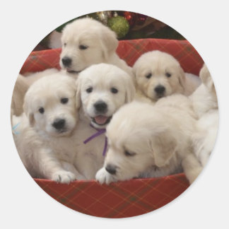 Happy Holiday Golden Retriever Welpen Runder Aufkleber