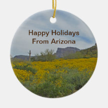 Happy Holidays Arizona Wildblume Wüste Landschaft