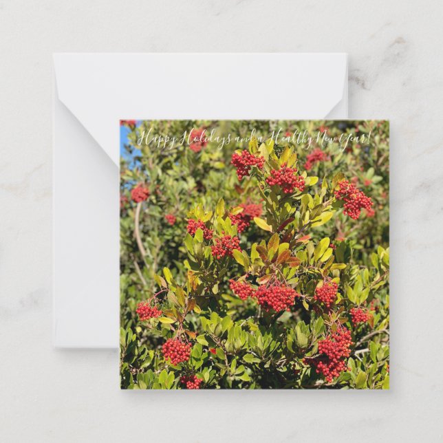 Happy Holidays aus Kalifornien! Mitteilungskarte (Vorderseite)