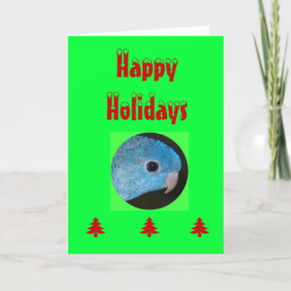 Happy Holidays Card, linnie parakeet Feiertagskarte