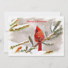 Happy Holidays Cardinal in Snow Feiertagskarte