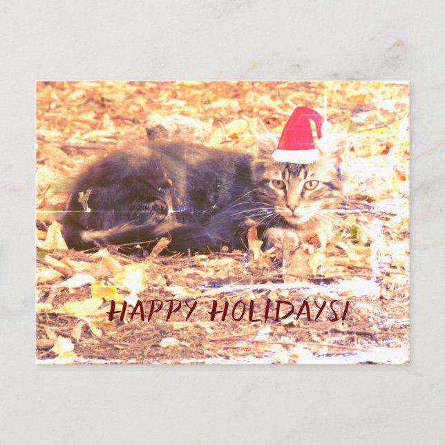 Happy Holidays Cat Foto Postkarte (Vorderseite)