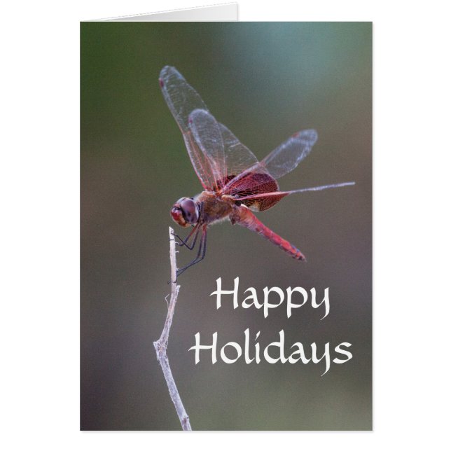 Happy Holidays Dragonfly (Vorne)