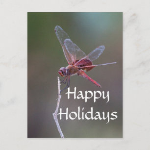Happy Holidays Dragonfly Feiertagspostkarte