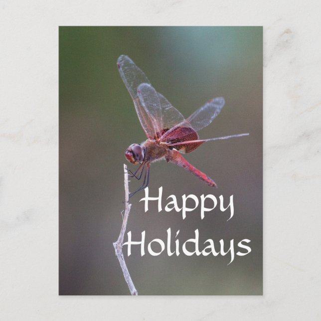 Happy Holidays Dragonfly Feiertagspostkarte (Vorderseite)