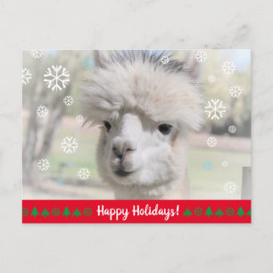Happy Holidays from Snow Alpaca Postkarte