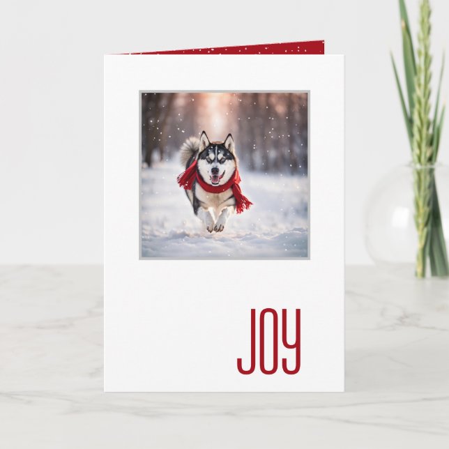 Happy Holidays Husky With a Red Scarf Karte (Vorderseite)