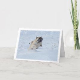 Happy Holidays Mops SnowChristmas spielen Feiertagskarte