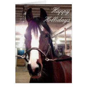 Happy Holidays Pferdekarten