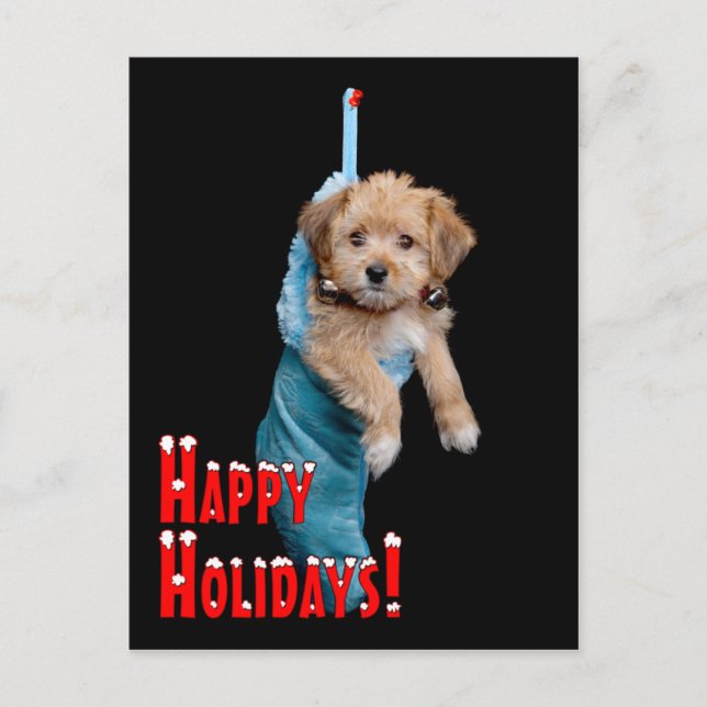 Happy Holidays Puppy Feiertagspostkarte (Vorderseite)