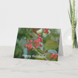 Happy Holidays : Red Berries Feiertagskarte