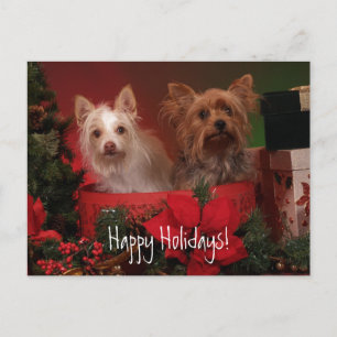 Happy Holidays Yorkie und Freunde Feiertagspostkarte