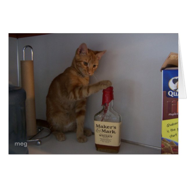 Happy Hour (Vorderseite (Horizontal))