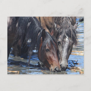 Happy Hour Postkarte