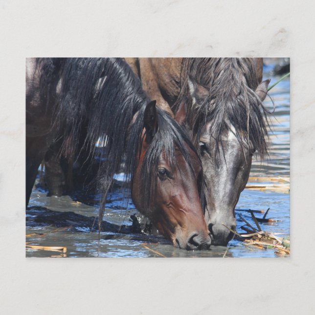 Happy Hour Postkarte (Vorderseite)