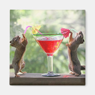 Happy Hour Squirrels Magnet