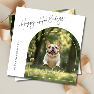 Happy Howlidays Arch Dog Foto Weihnachten
