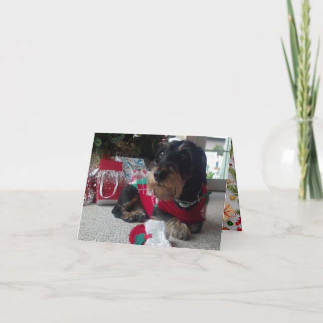 Happy Howlidays Feiertagskarte (Vorderseite)