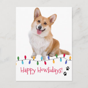 Happy Howlidays Hund Foto Festliche Weihnachtsbele Postkarte