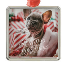 Happy Howlidays Hund Foto