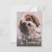 Happy Howlidays Hund Groomer Haustiere Sitter Urla