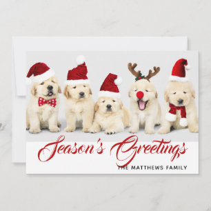 Happy Howlidays Weihnachten Weihnachten Foto Weihn