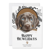 Happy Howlidays Weimaraner Hund Weihnachten