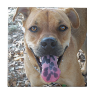 Happy Hund gepunktet Zunge Fliese