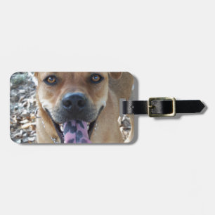Happy Hund gepunktet Zunge Gepäckanhänger