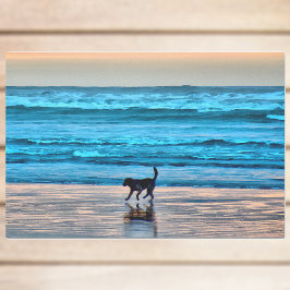 Happy Hund und Reflektion am Strand bei Sunset Seidenpapier