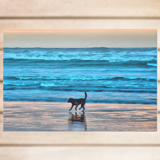 Happy Hund und Reflektion am Strand bei Sunset Seidenpapier (Von Creator hochgeladen)