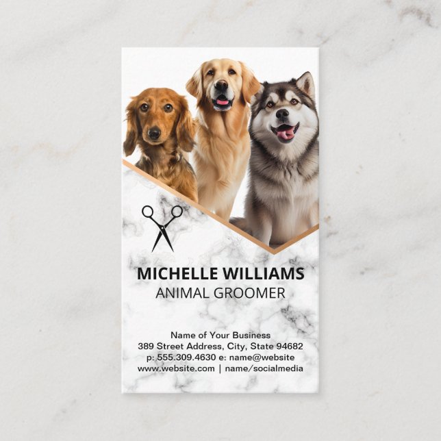 Happy Hunde Sitzen | Groomer Business Card Visitenkarte (Vorderseite)