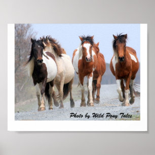 Happy Joggers Poster