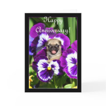 Happy-Jubiläum-Mops in Stiefmütterchen-Karte