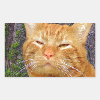 Happy Kitty Kat! Rechteckiger Aufkleber