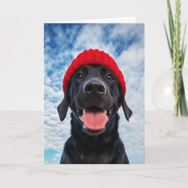 Happy Labrador in einer Roten Beanie Unter blauem  Einladung (Vorderseite)