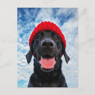 Happy Labrador in einer Roten Beanie Unter blauem  Postkarte