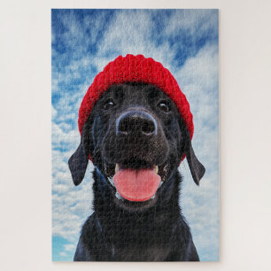 Happy Labrador in einer Roten Beanie Unter blauem Puzzle