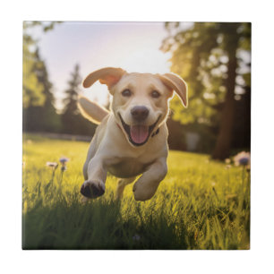 Happy Labrador Puppy Running Fliese