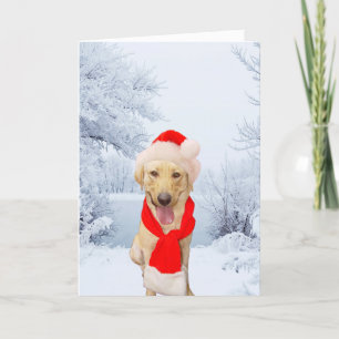 Happy Labrador Santa White Weihnachten