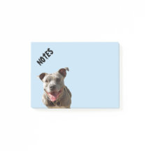 Happy Lächeln Pitbull