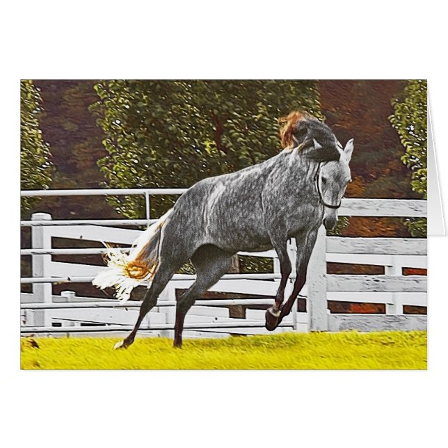 Happy Leaping Horse (Vorderseite (Horizontal))