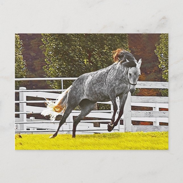 Happy Leaping Horse Postkarte (Vorderseite)