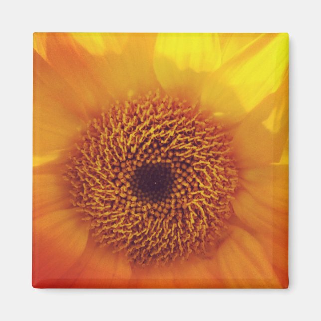 Happy Little Blume Magnet (Vorne)