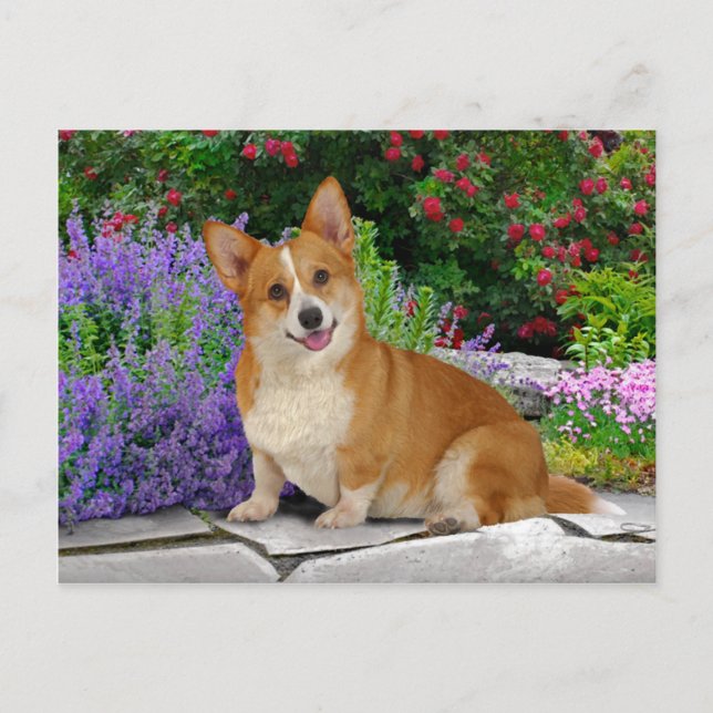 "Happy Little Corgi" Postkarte (Vorderseite)