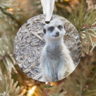 Happy Little Meerkat Ornament