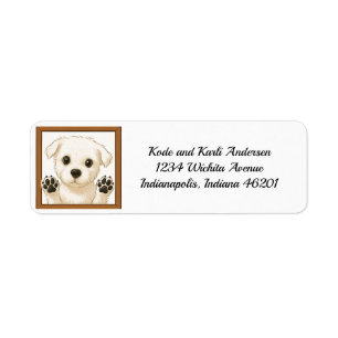 Happy Maltese Puppy Rücksendeadresse