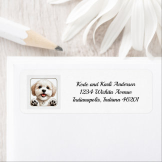 Happy Maltipoo Rücksendeadresse